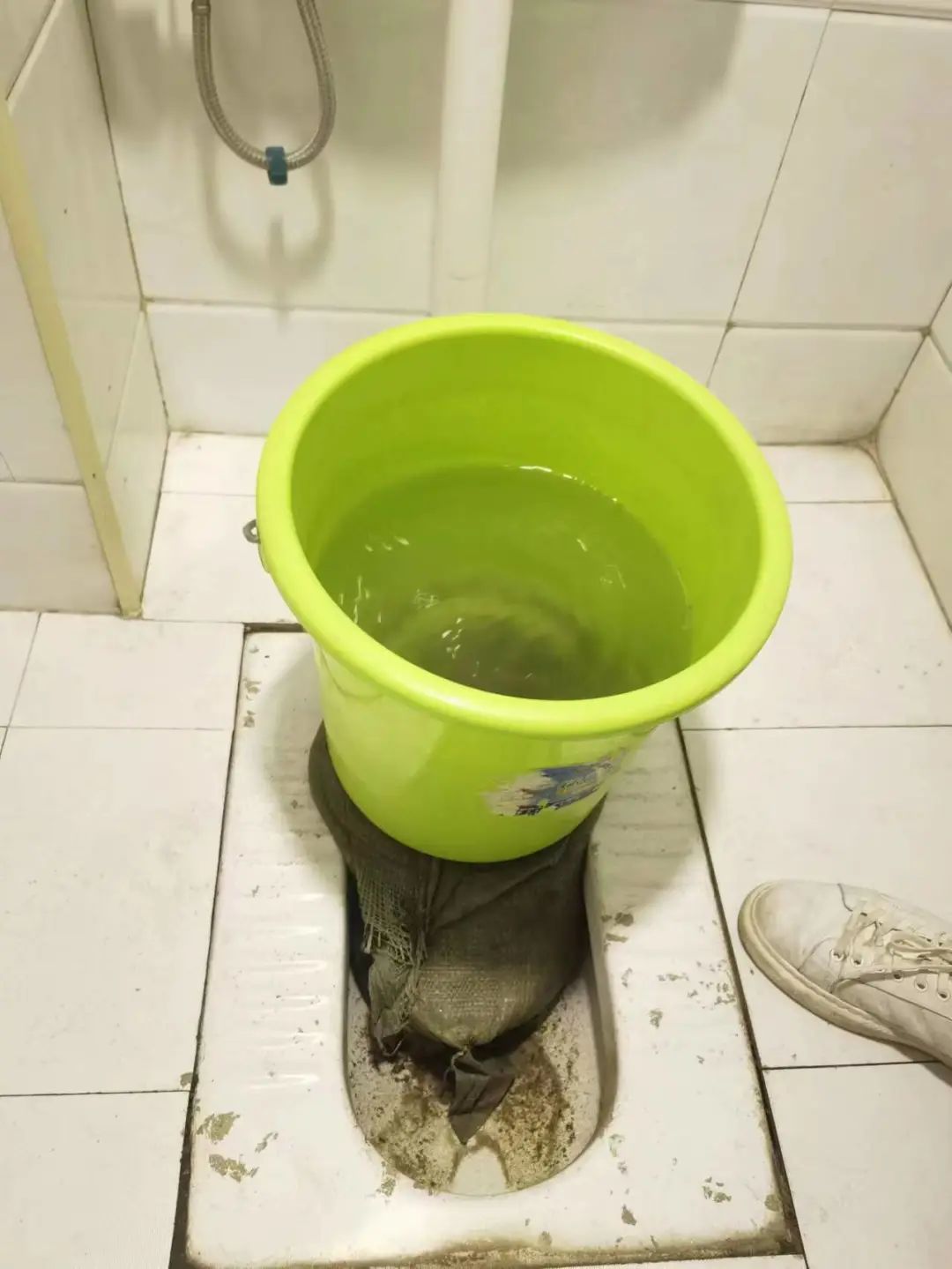 DƬ